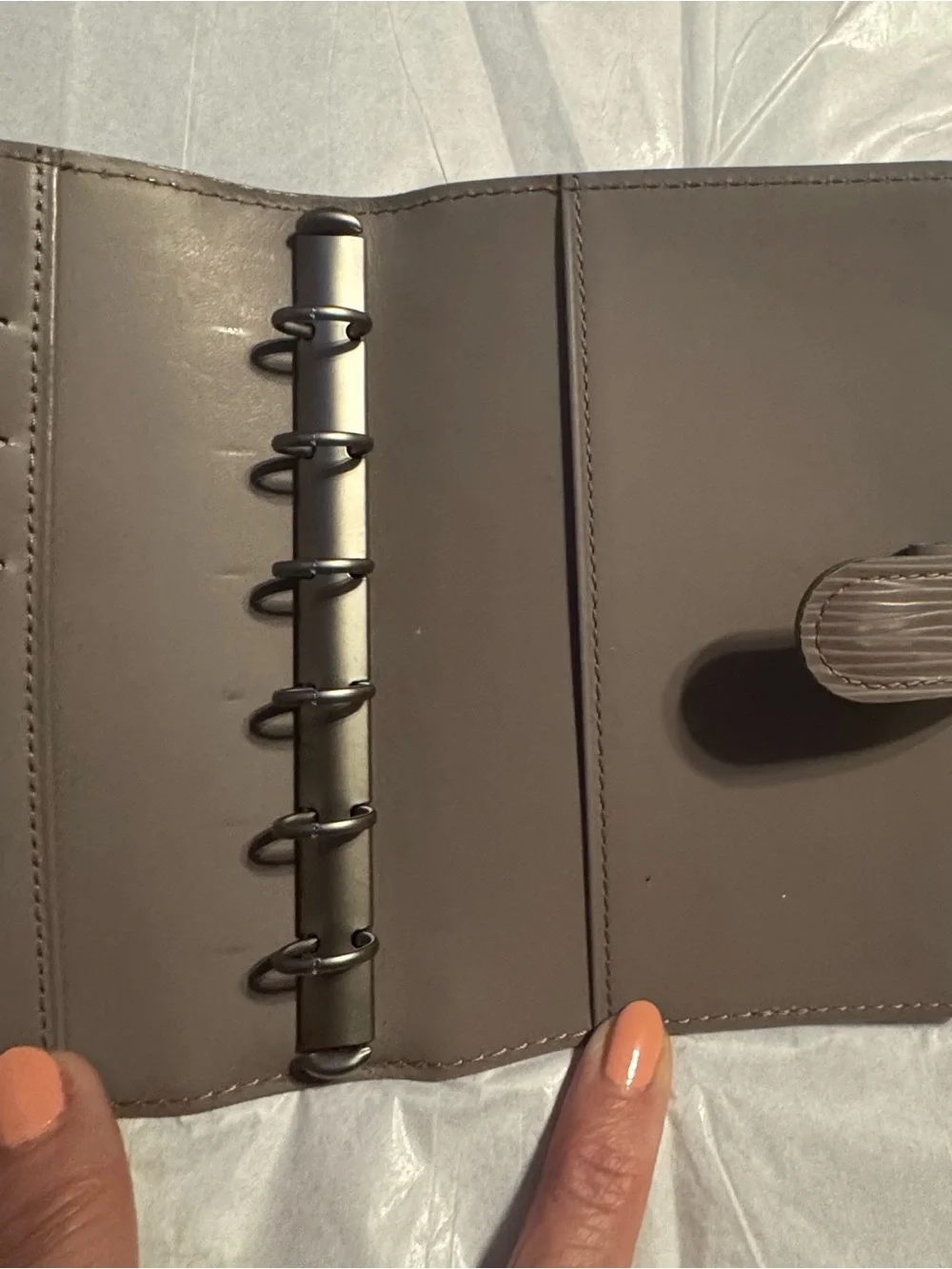 Louis Vuitton Epi Leather Organizer in Taupe Gray